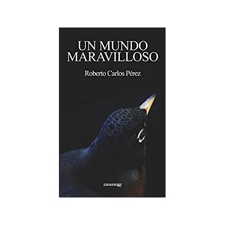 Un mundo maravilloso   Roberto Carlos Pérez