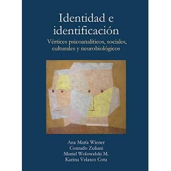 Identidad e identificación: Vértices psicoanalíticos, sociales, culturales y neurobiológicos Ana Maria Wiener