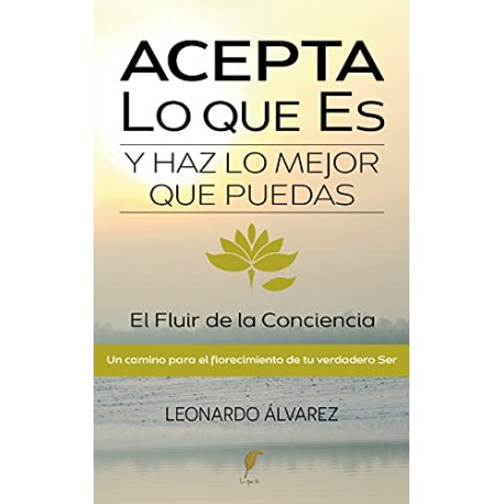 Acepta Lo que Es y Haz lo Mejor que Puedas: El Fluir de la Conciencia Leonardo Alvarez