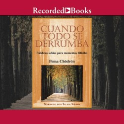 Audiolibro Cuando todo se derrumba Pema Chödrön