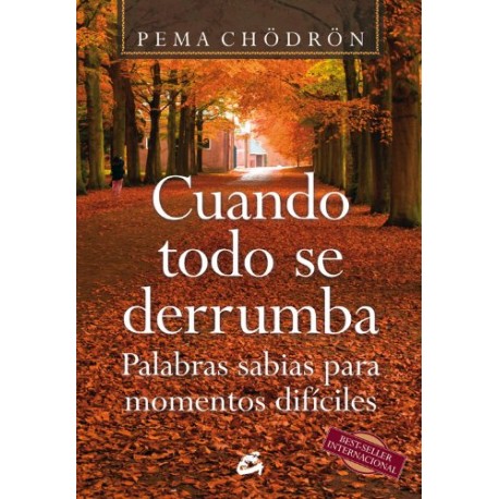 Cuando todo se derrumba: Palabras sabias para momentos difíciles Pema Chodron