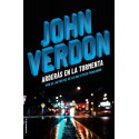 Arderás en la tormenta John Verdon