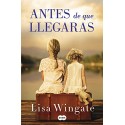 Antes de que llegaras Lisa Wingate