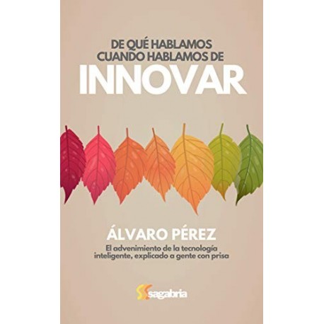 De qué hablamos cuando hablamos de innovar   Álvaro Pérez