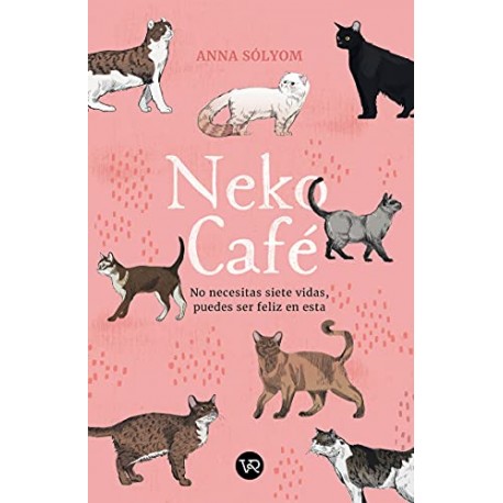 Neko Café: No necesitas siete vidas, puedes ser feliz en esta Anna Solyom