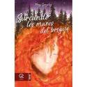 Surcando los mares del bosque  Mery González
