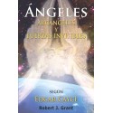 Angeles, Arcangeles y Fuerzas Invisibles Robert J. Grant