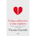 Cómo sobrevivir a una ruptura: Guía para la recuperación emocional y la disputa legal Vicente Garrido