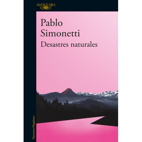 Desastres naturales Pablo Simonetti