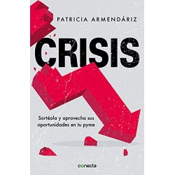 Crisis: Sortéala y aprovecha sus oportunidades en tu pyme   Patricia Armendáriz