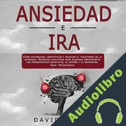 Audiolibro Ansiedad e Ira: Cómo Reconocer, Identificar y Manejar el Trastorno de la Ansiedad David Reyes