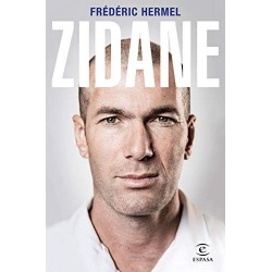 Zidane   Frédéric Hermel