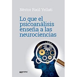 Lo que el psicoanálisis enseña a las neurociencias   Néstor Raúl Yelatti